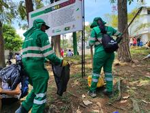 El plan especial de limpieza en la Semana Mayor culmina con &eacute;xito