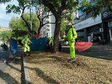El plan especial de limpieza en la Semana Mayor culmina con &eacute;xito