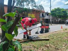 El plan especial de limpieza en la Semana Mayor culmina con &eacute;xito