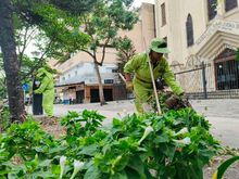 El plan especial de limpieza en la Semana Mayor culmina con &eacute;xito