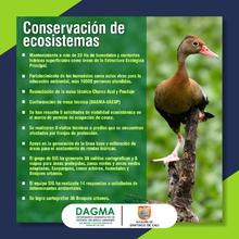 Con resultados operativos el Dagma aporta en la recuperaci&oacute;n de Cali