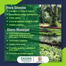 Con resultados operativos el Dagma aporta en la recuperaci&oacute;n de Cali