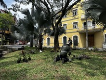 Embelleciendo a Cali: Dagma empez&oacute; la siembra de 100 plantas en el Parque El Pe&ntilde;&oacute;n