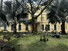 Embelleciendo a Cali: Dagma empez&oacute; la siembra de 100 plantas en el Parque El Pe&ntilde;&oacute;n