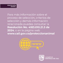 &iexcl;Participa en la elecci&oacute;n del Consejo Consultivo en Protecci&oacute;n Animal  de Cali!