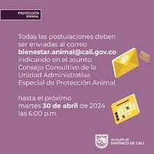 &iexcl;Participa en la elecci&oacute;n del Consejo Consultivo en Protecci&oacute;n Animal  de Cali!