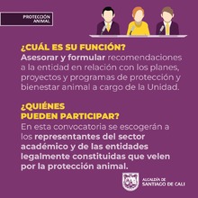 &iexcl;Participa en la elecci&oacute;n del Consejo Consultivo en Protecci&oacute;n Animal  de Cali!