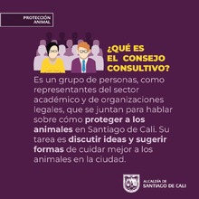 &iexcl;Participa en la elecci&oacute;n del Consejo Consultivo en Protecci&oacute;n Animal  de Cali!