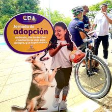 Mart&iacute;n, Mel&oacute;n y Mery encontraron hogar durante una jornada de la  Ciclovida de Cali