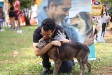 Mart&iacute;n, Mel&oacute;n y Mery encontraron hogar durante una jornada de la  Ciclovida de Cali