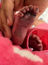 Registradur&iacute;a Nacional llega al Centro Int&eacute;grate para ampliar los servicios a la comunidad