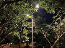 Proceso de instalaci&oacute;n de luminarias led en el parque El Ingenio completa 30% de avance en menos de 15 d&iacute;as