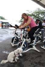  La lluvia, un especial regalo para la Tierra, durante el d&iacute;a de su conmemoraci&oacute;n en la Ciclovida de Cali