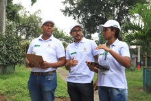 Reconocedores prediales ya est&aacute;n adelantando la actualizaci&oacute;n en las calles de Cali