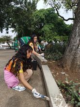 Con el respaldo del sector privado se fortalece la iniciativa &lsquo;Volvamos a mi Cali bella&rsquo;