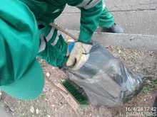 Dagma fortalece las acciones de control en el sector de la salud y la belleza 