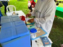 Refuerzo de protecci&oacute;n: Santiago de Cali recibe importante dotaci&oacute;n de vacunas