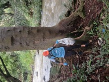 Plogging liber&oacute; de 1,5 toneladas de residuos al r&iacute;o Cali