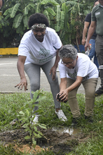 Dagma conmemor&oacute; el &lsquo;D&iacute;a del &Aacute;rbol&rsquo; con jornada de siembra en dos bosques urbanos de Cali 
