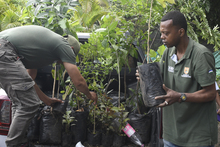 Dagma conmemor&oacute; el &lsquo;D&iacute;a del &Aacute;rbol&rsquo; con jornada de siembra en dos bosques urbanos de Cali 
