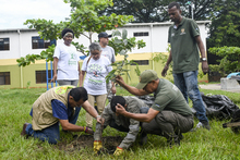 Dagma conmemor&oacute; el &lsquo;D&iacute;a del &Aacute;rbol&rsquo; con jornada de siembra en dos bosques urbanos de Cali 