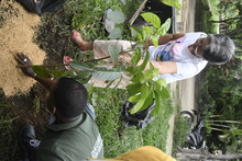 Dagma conmemor&oacute; el &lsquo;D&iacute;a del &Aacute;rbol&rsquo; con jornada de siembra en dos bosques urbanos de Cali