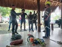 El Dagma actualiza a su personal para un mejor cuidado y mantenimiento del arbolado urbano