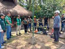 El Dagma actualiza a su personal para un mejor cuidado y mantenimiento del arbolado urbano