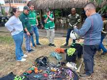 El Dagma actualiza a su personal para un mejor cuidado y mantenimiento del arbolado urbano