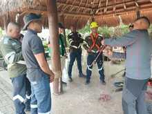 El Dagma actualiza a su personal para un mejor cuidado y mantenimiento del arbolado urbano