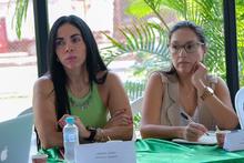 EDRU realiz&oacute; sesi&oacute;n ordinaria de la Comisi&oacute;n Intersectorial para la Atenci&oacute;n de Temas de Espacio P&uacute;blico, Sociales y Ambientales del proyecto de renovaci&oacute;n urbana Ciudad Para&iacute;so