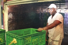 Las gestoras y gestores de comedores comunitarios cuentan con una l&iacute;nea de atenci&oacute;n para garantizar el seguimiento y control de la seguridad alimentaria en Cali