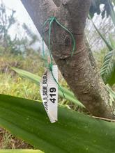Acciones que conectan con la COP16: Metro Cali entreg&oacute; un bosque reforestado a la CVC