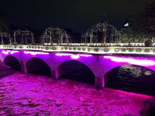 En homenaje a las madres, se iluminan de rosa siete lugares emblem&aacute;ticos de Cali 