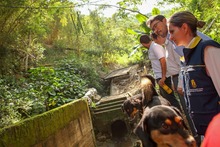 Avanzan las alianzas estrat&eacute;gicas de cooperaci&oacute;n internacional en  materia de gesti&oacute;n del riesgo para Cali