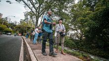 Aficionados a las aves disfrutaron durante el &lsquo;Global Big Day&rsquo; la  biodiversidad que ofrece el corredor del r&iacute;o Cali