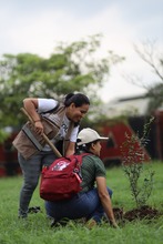 Cali siembra para la COP 16 con una nueva estrategia de  seguridad arb&oacute;rea