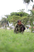 Cali siembra para la COP 16 con una nueva estrategia de  seguridad arb&oacute;rea