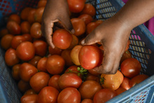 Comedor comunitario &lsquo;Mi Pac&iacute;fico y yo&rsquo;, una &lsquo;luz de esperanza&rsquo; en el barrio Mojica 2