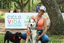 Día de la Familia en la Ciclovida 4