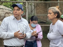UAEPA rescata cuatro caballos en operativo en la comuna 19 sector La Sirena
