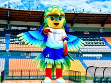 Dos campeones, Espa&ntilde;a y Estados Unidos, jugar&aacute;n la Copa Mundial Sub-20 Femenina de la FIFA en el Pascual Guerrero