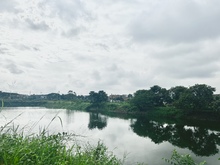 Ni&ntilde;os y j&oacute;venes de la Comuna 13 celebraron el &lsquo;D&iacute;a Mundial del Medio  Ambiente&rsquo; en el humedal Charco Azul
