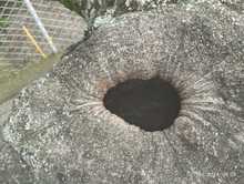 Los &aacute;rboles son seres vivos: evite agredirlos con malas pr&aacute;cticas ambientales 