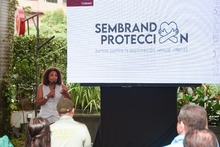 &lsquo;Sembrando Protecci&oacute;n&rsquo;, la campa&ntilde;a que desde Turismo Cali busca proteger a los menores de edad de la explotaci&oacute;n sexual