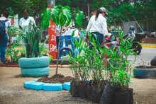 Con 72 puntos intervenidos, la estrategia &lsquo;Volvamos a mi Cali bella&rsquo; cumple 5 meses recuperando la ciudad