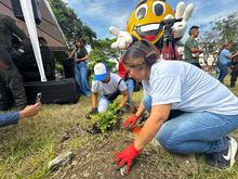 Corredor ambiental vuelve a reverdecer para la ciudadan&iacute;a