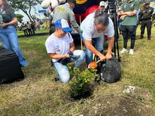 Corredor ambiental vuelve a reverdecer para la ciudadan&iacute;a