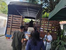 Dagma enfrenta el tr&aacute;fico de animales silvestres: esta semana 85 espec&iacute;menes fueron retornados a su h&aacute;bitat natural