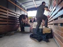 Dagma enfrenta el tr&aacute;fico de animales silvestres: esta semana 85 espec&iacute;menes fueron retornados a su h&aacute;bitat natural